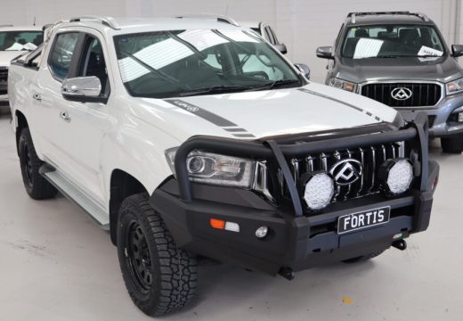 2021 LDV T60 MEGA TUB 4X4