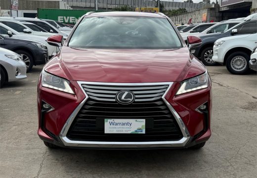 2018 Lexus RX300 Luxury