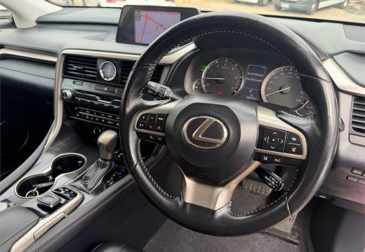 2018 Lexus RX300 Luxury