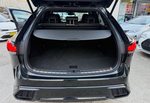 2024 Lexus RX500h F Sport Performance